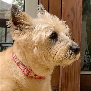 Meet your Posher, Jordan